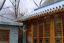 清明扫墓 清明扫墓