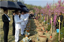 生态葬祭祀 生态葬祭祀