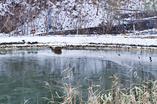 Fenmuqiyuan Fenmuqiyuan