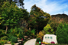 Gaigefangxiang Gaigefangxiang