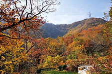 Zhandimianji Zhandimianji
